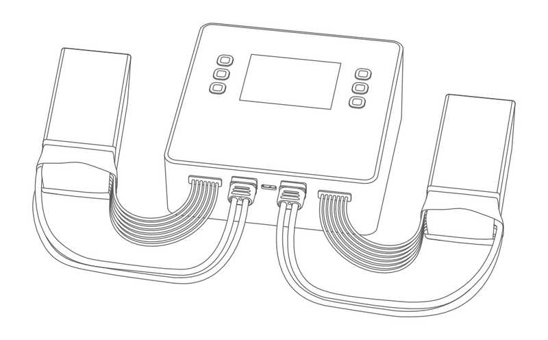 File:C100 - Dual.png