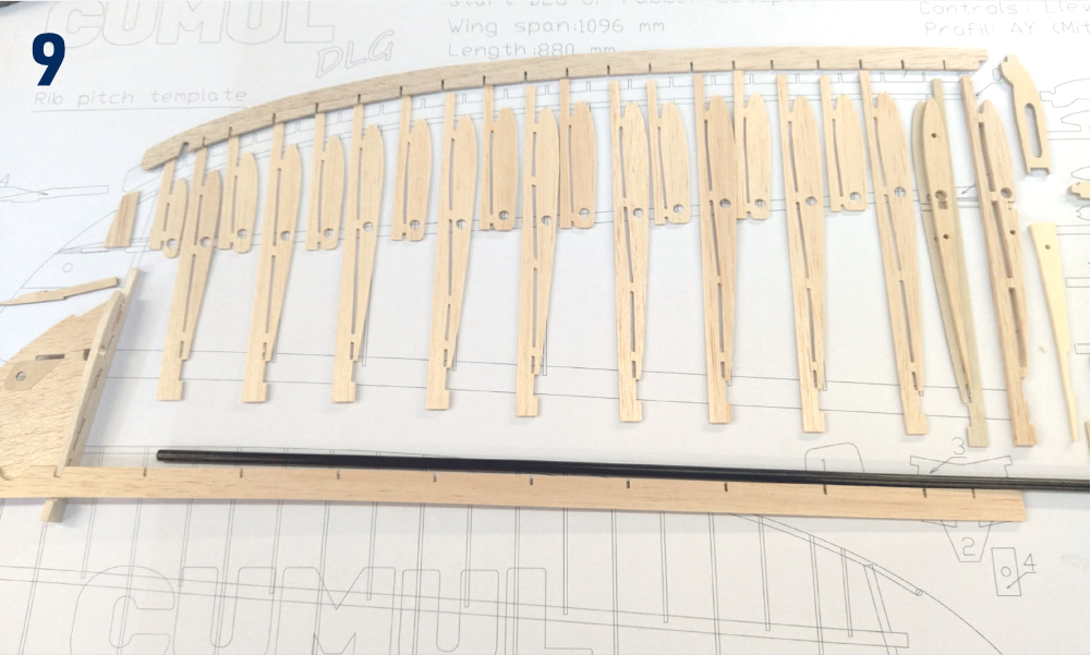 Step 9